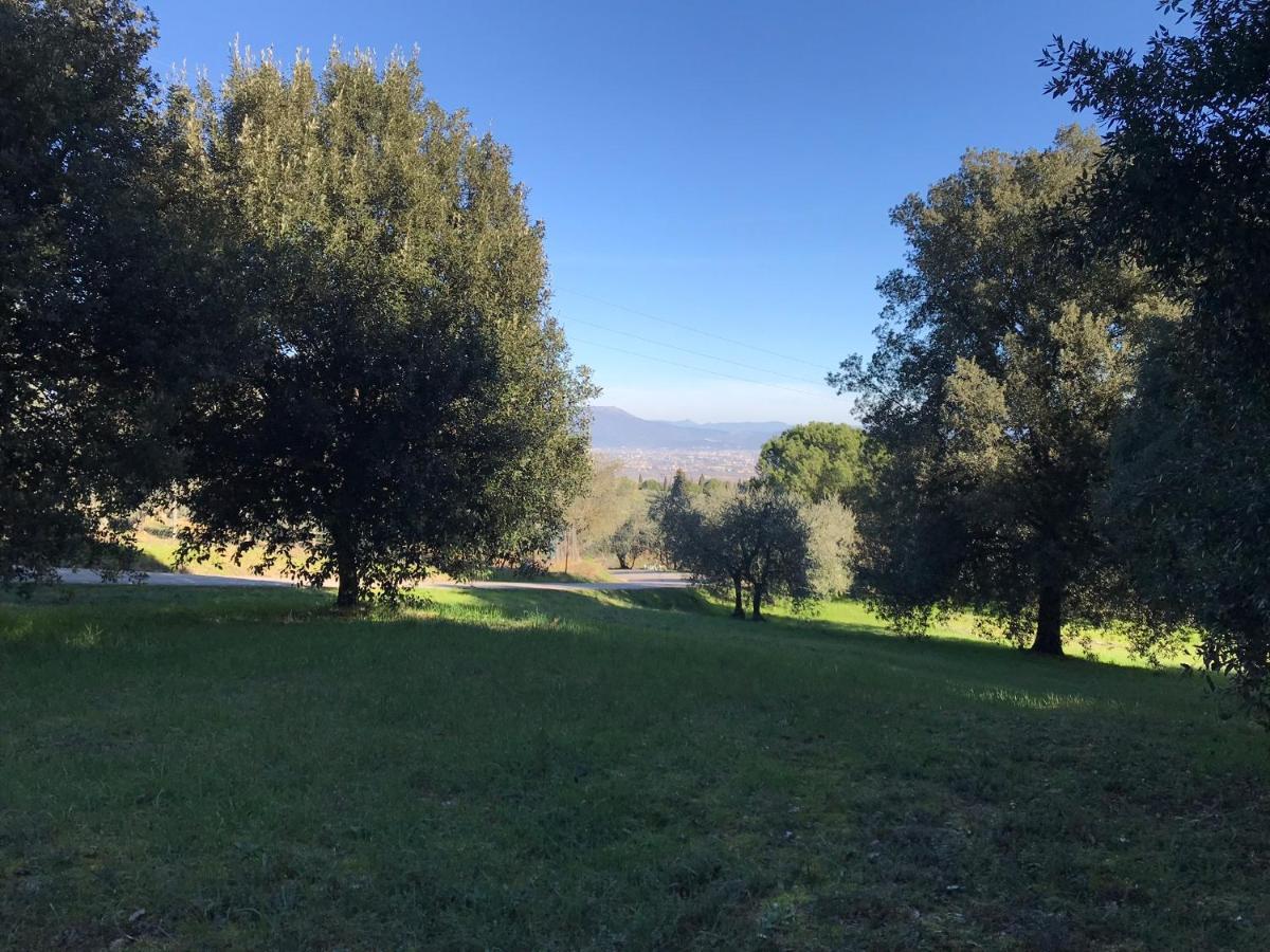 La Residenza Dei Piaceri Perduti- Le Volte Apartman Lastra a Signa Kültér fotó